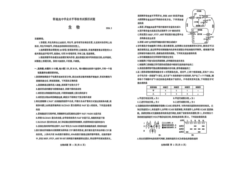 26临沂一模-生物试题_2024-2026高三（6-6月题库）_2026年03月高三试卷_260312山东省临沂市2026年3月高三模拟考试（临沂一模）（全科）