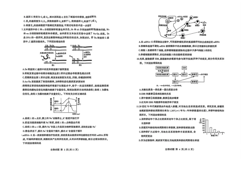 26临沂一模-生物试题_2024-2026高三（6-6月题库）_2026年03月高三试卷_260312山东省临沂市2026年3月高三模拟考试（临沂一模）（全科）
