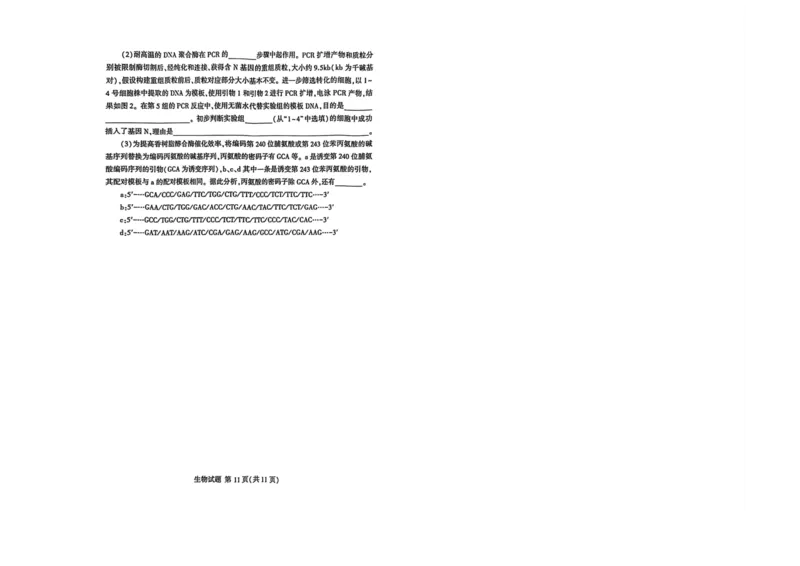 26临沂一模-生物试题_2024-2026高三（6-6月题库）_2026年03月高三试卷_260312山东省临沂市2026年3月高三模拟考试（临沂一模）（全科）
