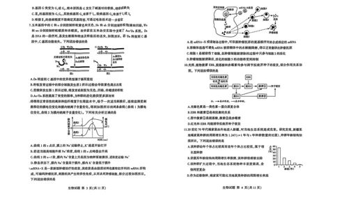 26临沂一模-生物试题_2024-2026高三（6-6月题库）_2026年03月高三试卷_260312山东省临沂市2026年3月高三模拟考试（临沂一模）（全科）