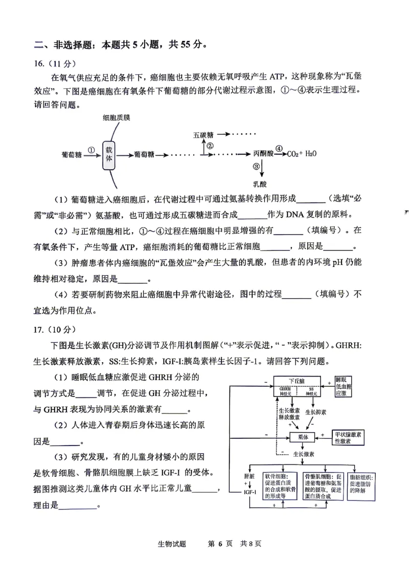 眉山市2026届高三第二次模拟测试生物_2024-2026高三（6-6月题库）_2026年04月高三试卷_260417四川省眉山市2026届高三第二次模拟测试（全科）
