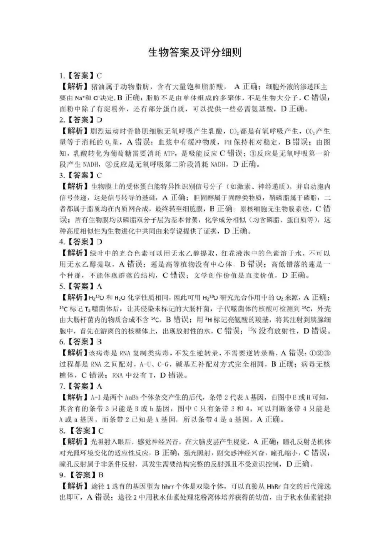 湖北襄阳市2026届高三年级3月统一调研测试生物试题(含答案）_2024-2026高三（6-6月题库）_2026年03月高三试卷_260310湖北襄阳市2026届高三年级3月统一调研测试（全科）