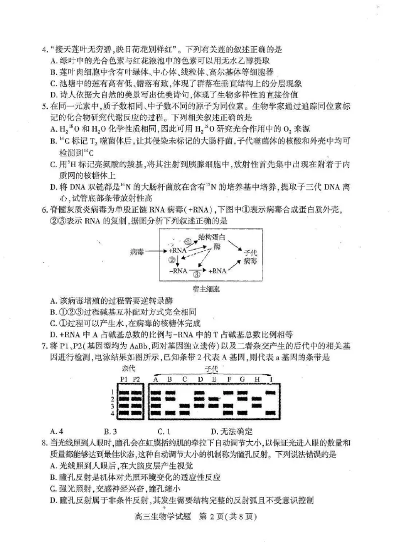 湖北襄阳市2026届高三年级3月统一调研测试生物试题(含答案）_2024-2026高三（6-6月题库）_2026年03月高三试卷_260310湖北襄阳市2026届高三年级3月统一调研测试（全科）