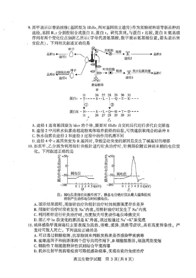 湖北襄阳市2026届高三年级3月统一调研测试生物试题(含答案）_2024-2026高三（6-6月题库）_2026年03月高三试卷_260310湖北襄阳市2026届高三年级3月统一调研测试（全科）
