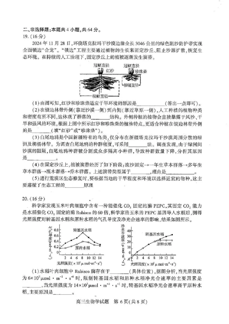 湖北襄阳市2026届高三年级3月统一调研测试生物试题(含答案）_2024-2026高三（6-6月题库）_2026年03月高三试卷_260310湖北襄阳市2026届高三年级3月统一调研测试（全科）