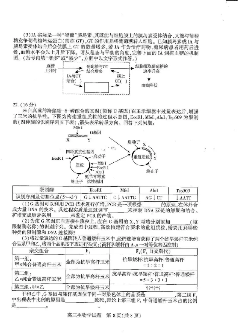 湖北襄阳市2026届高三年级3月统一调研测试生物试题(含答案）_2024-2026高三（6-6月题库）_2026年03月高三试卷_260310湖北襄阳市2026届高三年级3月统一调研测试（全科）