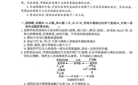 湖北襄阳市2026届高三年级3月统一调研测试生物试题(含答案）_2024-2026高三（6-6月题库）_2026年03月高三试卷_260310湖北襄阳市2026届高三年级3月统一调研测试（全科）