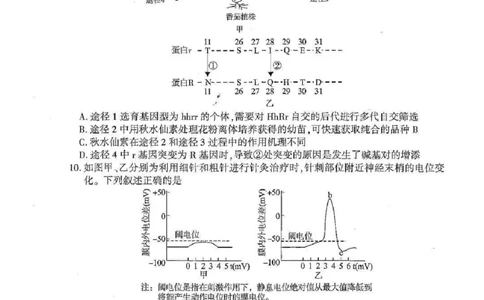 湖北襄阳市2026届高三年级3月统一调研测试生物试题(含答案）_2024-2026高三（6-6月题库）_2026年03月高三试卷_260310湖北襄阳市2026届高三年级3月统一调研测试（全科）