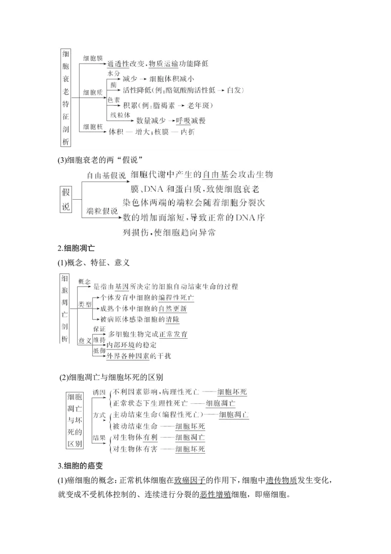 必修一第四单元第12讲_新高考复习资料_2022年新高考复习资料_2022年一轮复习最新版_1.2022年高考生物一轮复习全国通用版_2022年新高考生物一轮复习讲义（最新版）_赠送word习题库