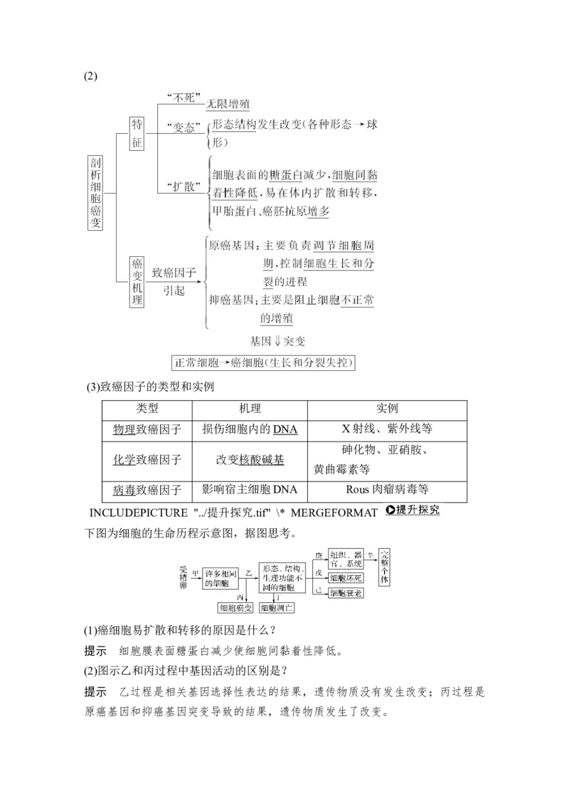 必修一第四单元第12讲_新高考复习资料_2022年新高考复习资料_2022年一轮复习最新版_1.2022年高考生物一轮复习全国通用版_2022年新高考生物一轮复习讲义（最新版）_赠送word习题库