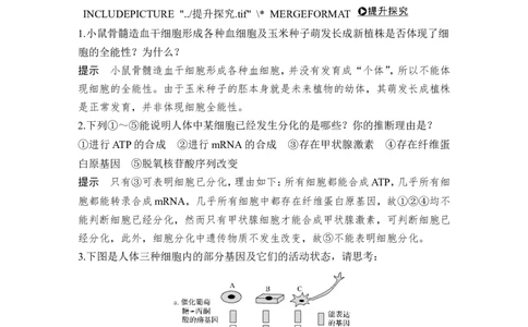 必修一第四单元第12讲_新高考复习资料_2022年新高考复习资料_2022年一轮复习最新版_1.2022年高考生物一轮复习全国通用版_2022年新高考生物一轮复习讲义（最新版）_赠送word习题库