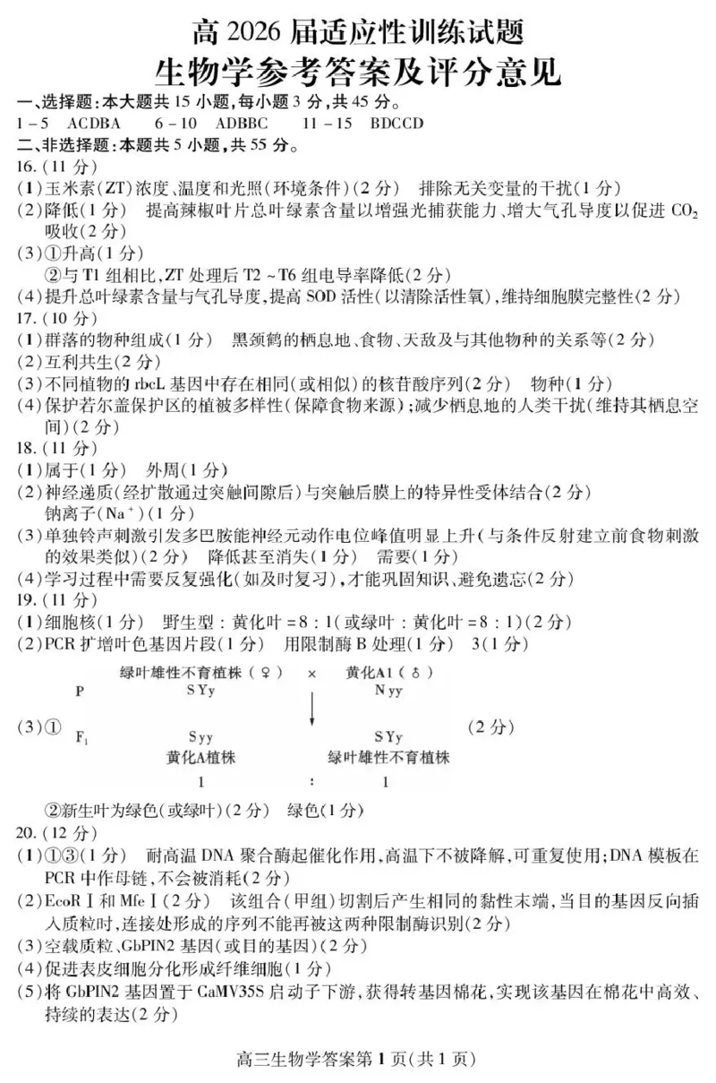 内江市高2026届适应性训练试题生物答案_2024-2026高三（6-6月题库）_2026年04月高三试卷_260427四川省内江市高2026届适应性训练试题（内江三模）（全科）