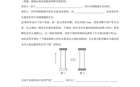 实验专题讲座5_新高考复习资料_2023年新高考复习资料_一轮复习_2023年新高考大一轮复习讲义_2023年高考生物一轮复习讲义（新人教新高考）_赠补充习题_Word版题库第七~十单元