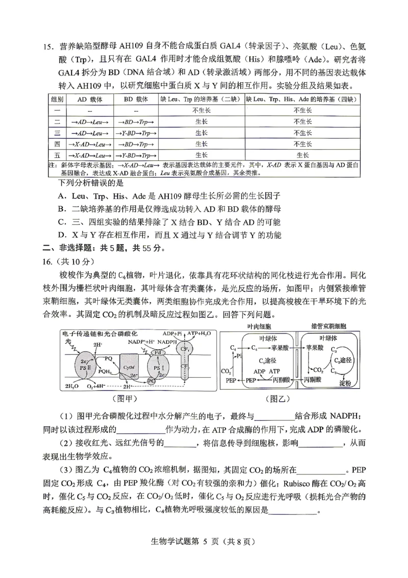 绵阳市2026年高考适应性考试生物_2024-2026高三（6-6月题库）_2026年04月高三试卷_260424四川省绵阳市2026年高考适应性考试（绵阳三诊）（全科）