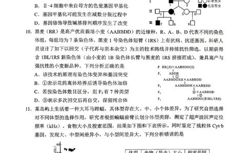 绵阳市2026年高考适应性考试生物_2024-2026高三（6-6月题库）_2026年04月高三试卷_260424四川省绵阳市2026年高考适应性考试（绵阳三诊）（全科）