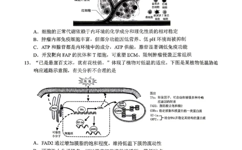 绵阳市2026年高考适应性考试生物_2024-2026高三（6-6月题库）_2026年04月高三试卷_260424四川省绵阳市2026年高考适应性考试（绵阳三诊）（全科）