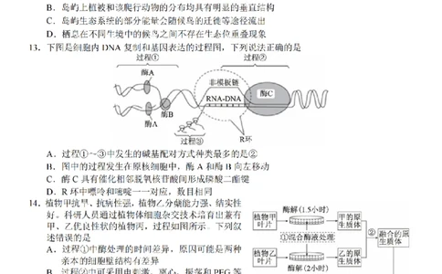 生物卷-2603新阵地教育联盟_2024-2026高三（6-6月题库）_2026年03月高三试卷_250309浙江省新阵地教育联盟2026届第二次联考（全科）