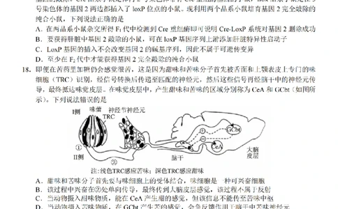 生物卷-2603新阵地教育联盟_2024-2026高三（6-6月题库）_2026年03月高三试卷_250309浙江省新阵地教育联盟2026届第二次联考（全科）