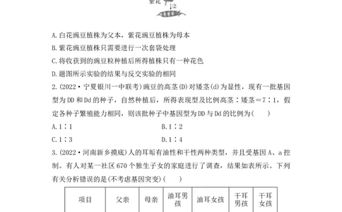 夯基提能练14基因的分离定律-备战2023高考生物一轮复习夯基提能练（全国通用）（原卷版）_通用版（老高考）复习资料_2023年复习资料_一轮复习
