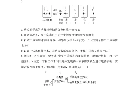 夯基提能练14基因的分离定律-备战2023高考生物一轮复习夯基提能练（全国通用）（原卷版）_通用版（老高考）复习资料_2023年复习资料_一轮复习