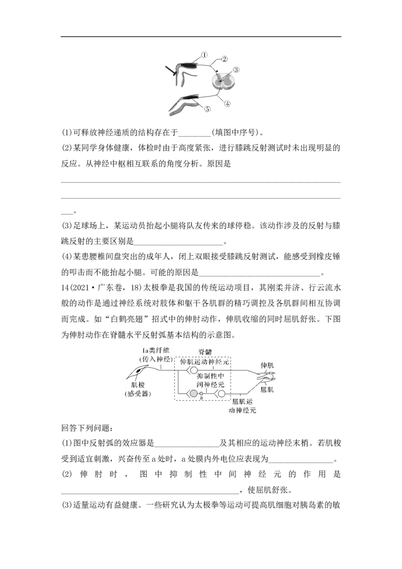 夯基提能练25通过神经系统的调节-备战2023高考生物一轮复习夯基提能练（全国通用）（原卷版）_通用版（老高考）复习资料_2023年复习资料_一轮复习