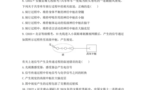 夯基提能练25通过神经系统的调节-备战2023高考生物一轮复习夯基提能练（全国通用）（原卷版）_通用版（老高考）复习资料_2023年复习资料_一轮复习