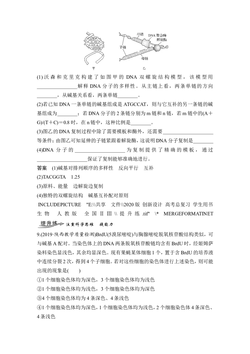 必修二第六单元第17讲_新高考复习资料_2022年新高考复习资料_2022年一轮复习最新版_1.2022年高考生物一轮复习全国通用版_2022年新高考生物一轮复习讲义（最新版）_赠送word习题库
