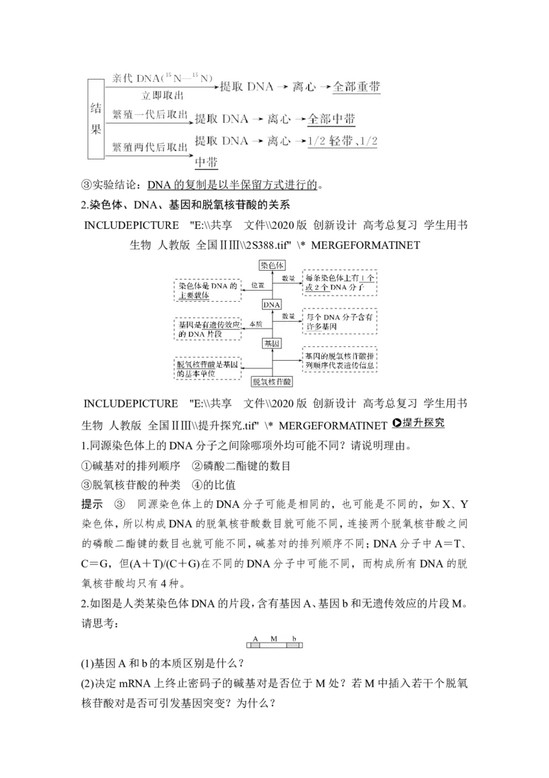 必修二第六单元第17讲_新高考复习资料_2022年新高考复习资料_2022年一轮复习最新版_1.2022年高考生物一轮复习全国通用版_2022年新高考生物一轮复习讲义（最新版）_赠送word习题库