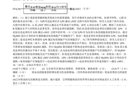 成都市第七中学2025&mdash;2026学年度下期高2026届开学考试生物答案_2024-2026高三（6-6月题库）_2026年03月高三试卷_260302四川省成都市第七中学2025&mdash;2026学年度下期高2026届开学考试（全科）