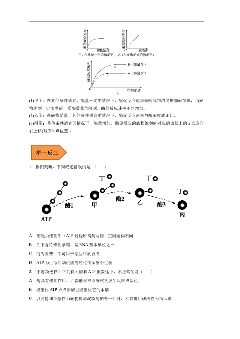易错点06酶的组成及特性-备战2023年高考生物考试易错题（新教材新高考）（原卷版）_新高考复习资料_2023年新高考复习资料_专项复习_备战2023年高考生物考试易错题（新教材新高考）