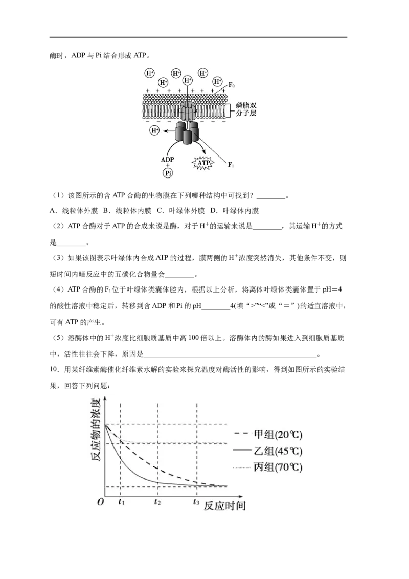易错点06酶的组成及特性-备战2023年高考生物考试易错题（新教材新高考）（原卷版）_新高考复习资料_2023年新高考复习资料_专项复习_备战2023年高考生物考试易错题（新教材新高考）