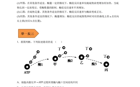 易错点06酶的组成及特性-备战2023年高考生物考试易错题（新教材新高考）（原卷版）_新高考复习资料_2023年新高考复习资料_专项复习_备战2023年高考生物考试易错题（新教材新高考）
