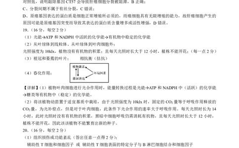 新八校2025-2026学年高三下学期开学考试生物答案_2024-2026高三（6-6月题库）_2026年03月高三试卷_260301湖北省新八校2025-2026学年高三下学期开学考试（全科）