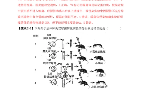 易错点02蛋白质和核酸的三个理解误区（解析版）_新高考复习资料_2024年新高考复习资料_❤专项复习资料_完备战2024年高考生物考试易错题（新高考专用）_教师版（含答案解析）
