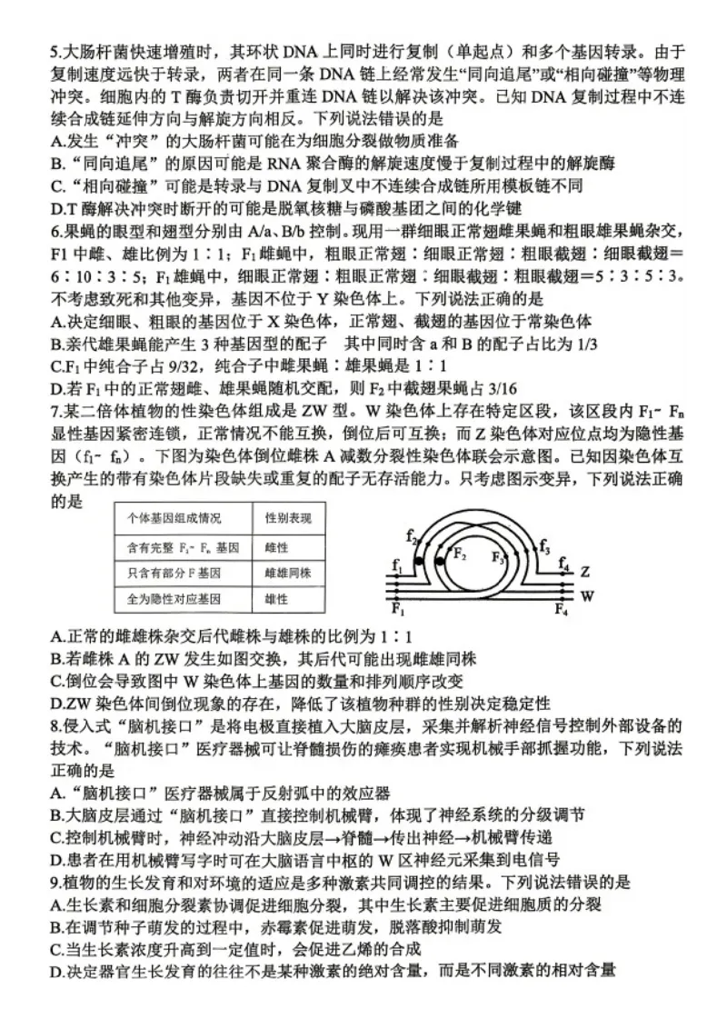 生物试题卷_2024-2026高三（6-6月题库）_2026年04月高三试卷_2604262026届山东省东营市二模考试（全科）_2026届山东省东营市二模考试生物试题（含答案）