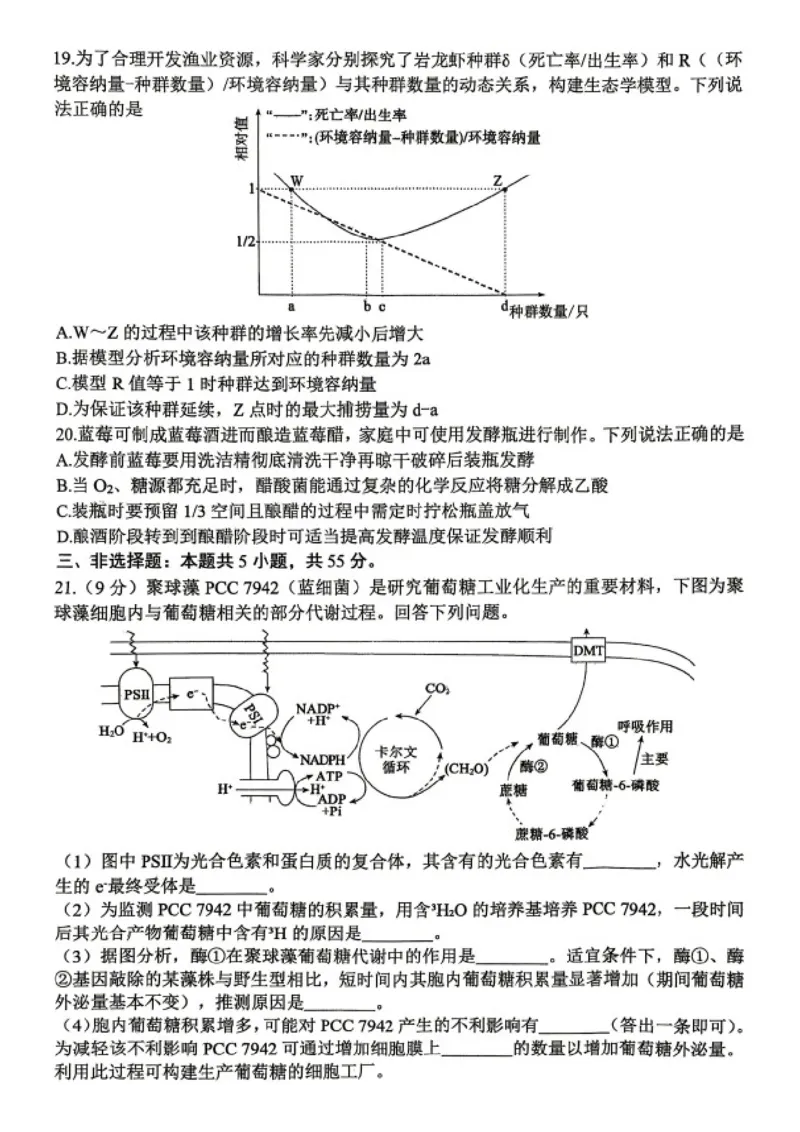 生物试题卷_2024-2026高三（6-6月题库）_2026年04月高三试卷_2604262026届山东省东营市二模考试（全科）_2026届山东省东营市二模考试生物试题（含答案）