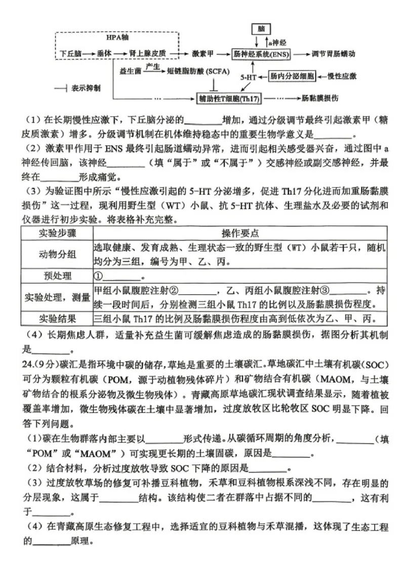 生物试题卷_2024-2026高三（6-6月题库）_2026年04月高三试卷_2604262026届山东省东营市二模考试（全科）_2026届山东省东营市二模考试生物试题（含答案）