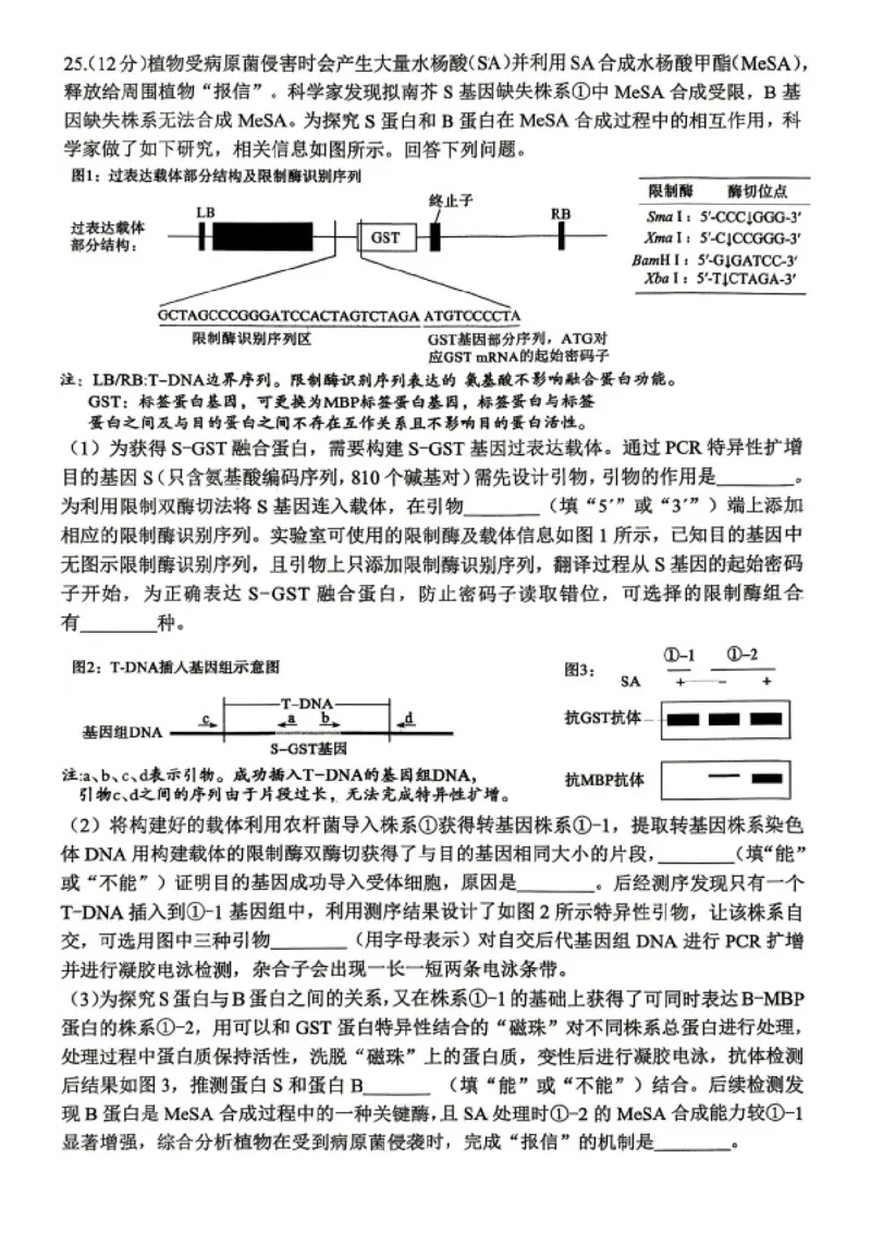 生物试题卷_2024-2026高三（6-6月题库）_2026年04月高三试卷_2604262026届山东省东营市二模考试（全科）_2026届山东省东营市二模考试生物试题（含答案）
