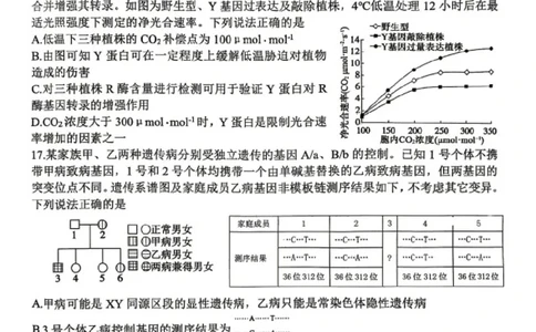 生物试题卷_2024-2026高三（6-6月题库）_2026年04月高三试卷_2604262026届山东省东营市二模考试（全科）_2026届山东省东营市二模考试生物试题（含答案）