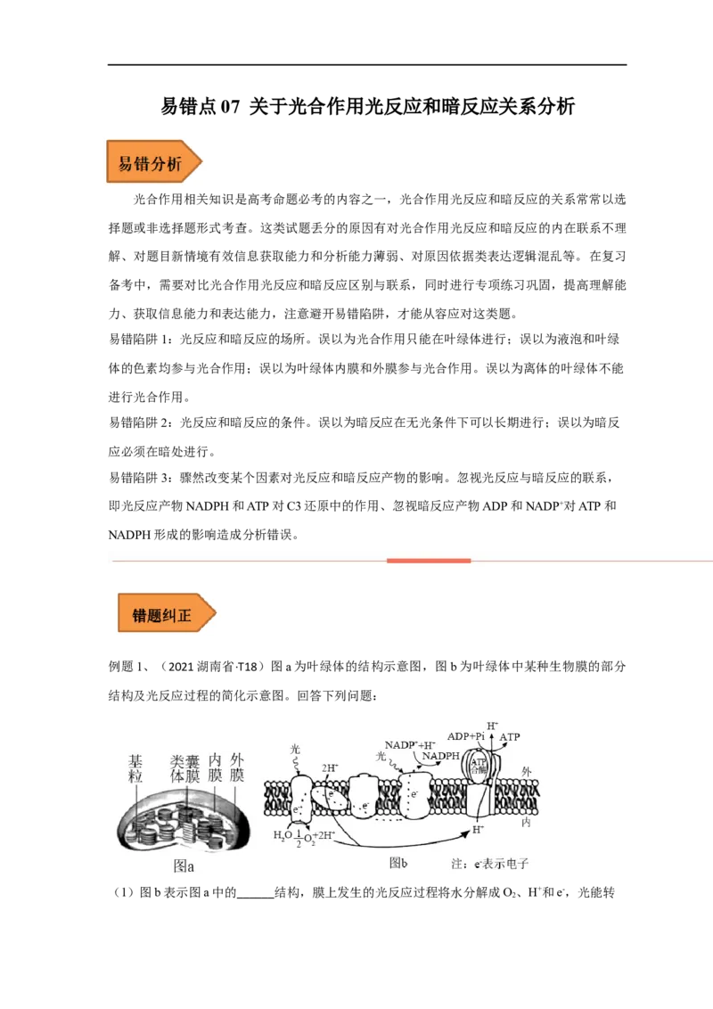 易错点07关于光合作用光反应和暗反应关系分析-备战2023年高考生物考试易错题（全国通用）（解析版）_通用版（老高考）复习资料_2023年复习资料_专项复习
