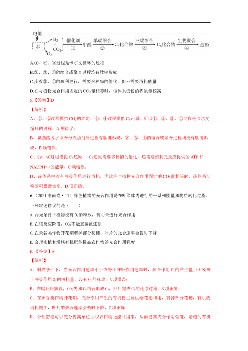 易错点07关于光合作用光反应和暗反应关系分析-备战2023年高考生物考试易错题（全国通用）（解析版）_通用版（老高考）复习资料_2023年复习资料_专项复习