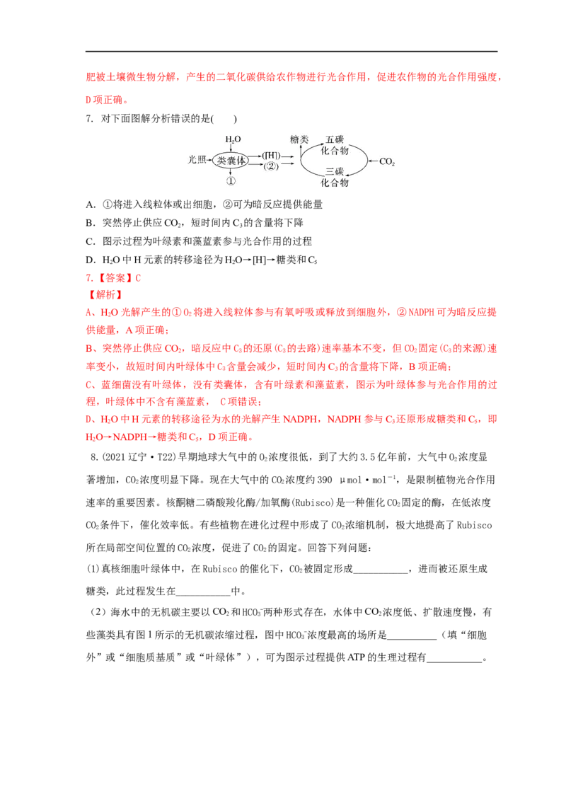 易错点07关于光合作用光反应和暗反应关系分析-备战2023年高考生物考试易错题（全国通用）（解析版）_通用版（老高考）复习资料_2023年复习资料_专项复习