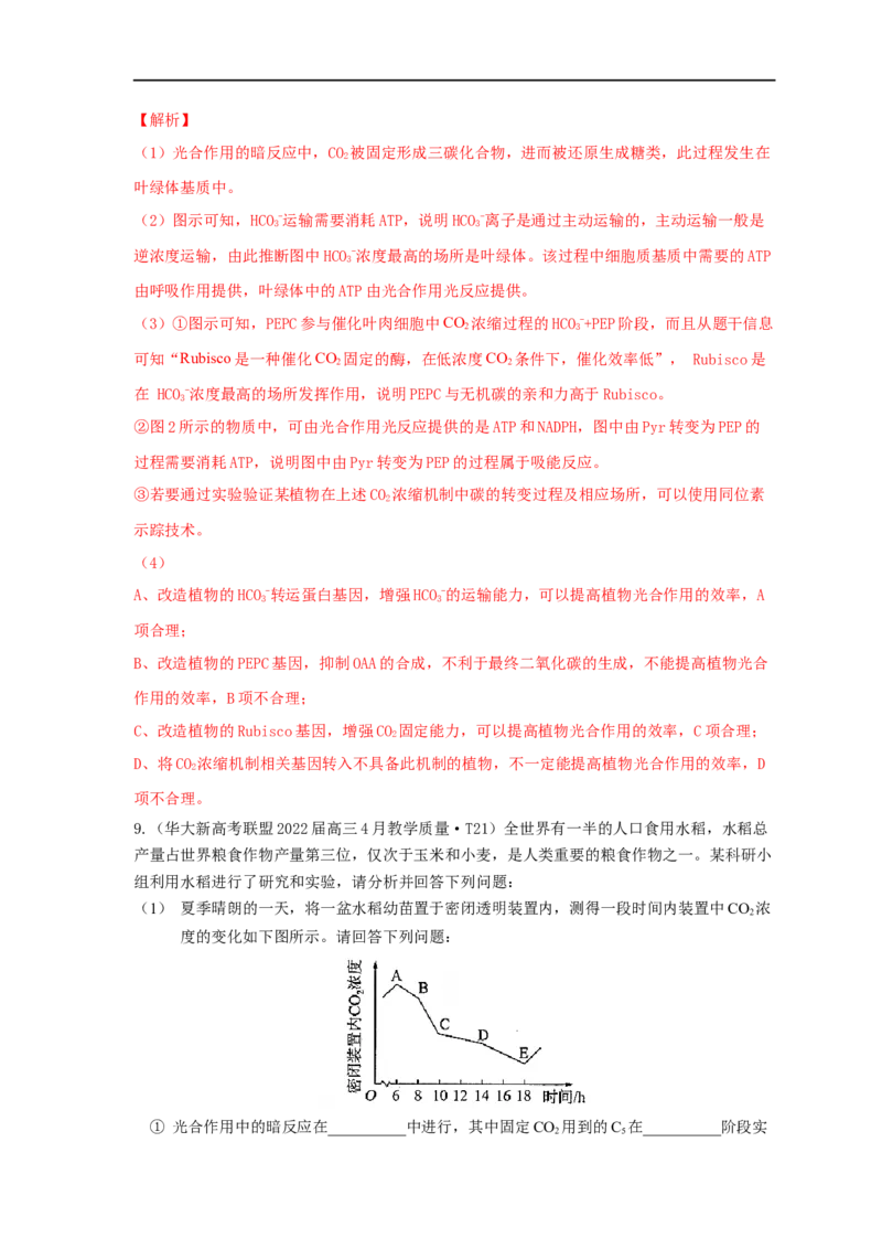 易错点07关于光合作用光反应和暗反应关系分析-备战2023年高考生物考试易错题（全国通用）（解析版）_通用版（老高考）复习资料_2023年复习资料_专项复习