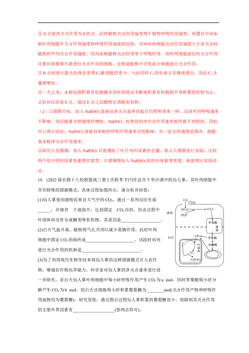 易错点07关于光合作用光反应和暗反应关系分析-备战2023年高考生物考试易错题（全国通用）（解析版）_通用版（老高考）复习资料_2023年复习资料_专项复习