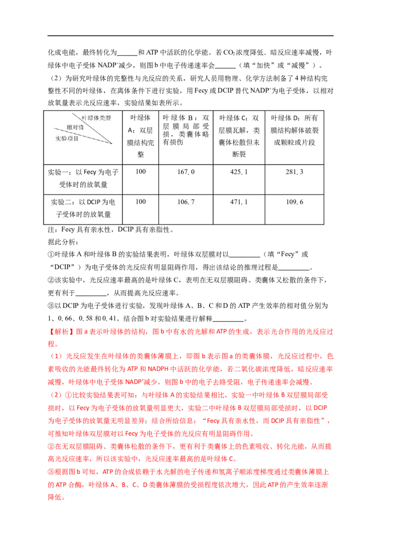 易错点07关于光合作用光反应和暗反应关系分析-备战2023年高考生物考试易错题（全国通用）（解析版）_通用版（老高考）复习资料_2023年复习资料_专项复习