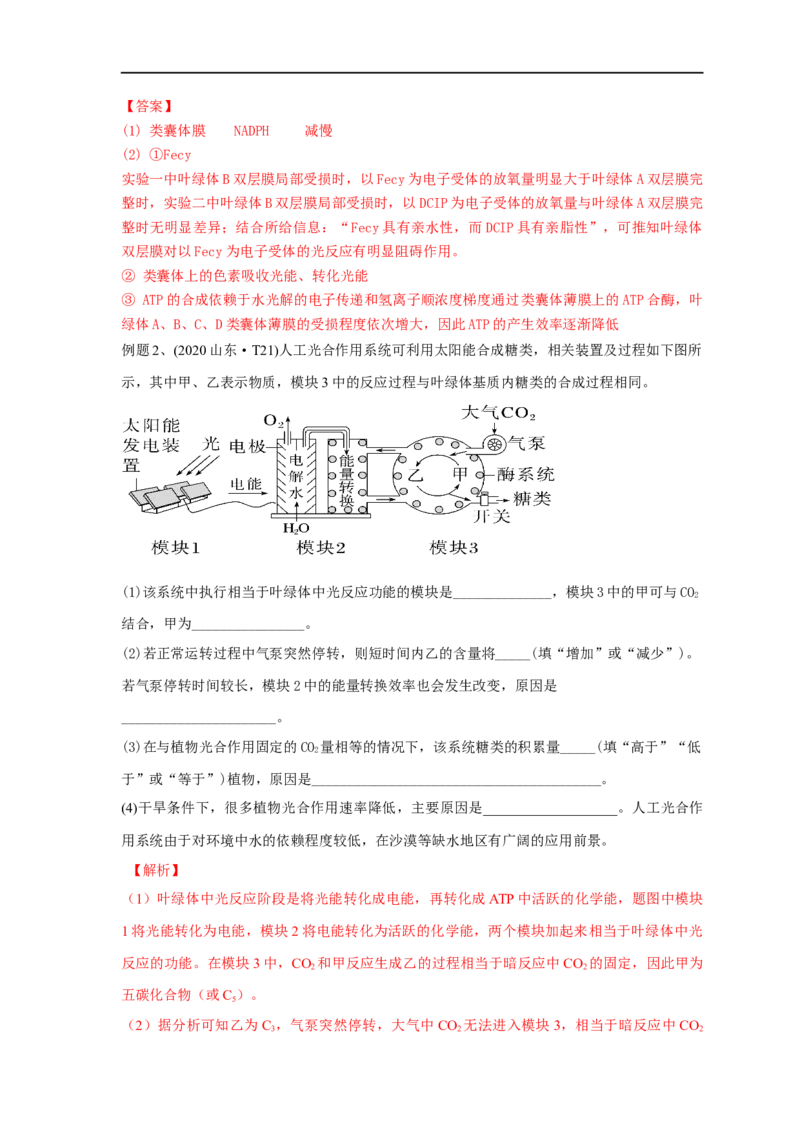 易错点07关于光合作用光反应和暗反应关系分析-备战2023年高考生物考试易错题（全国通用）（解析版）_通用版（老高考）复习资料_2023年复习资料_专项复习