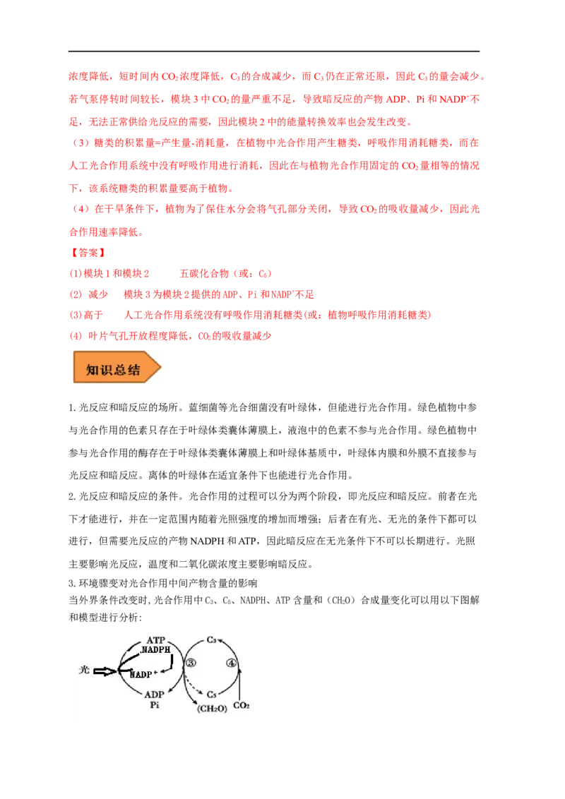 易错点07关于光合作用光反应和暗反应关系分析-备战2023年高考生物考试易错题（全国通用）（解析版）_通用版（老高考）复习资料_2023年复习资料_专项复习