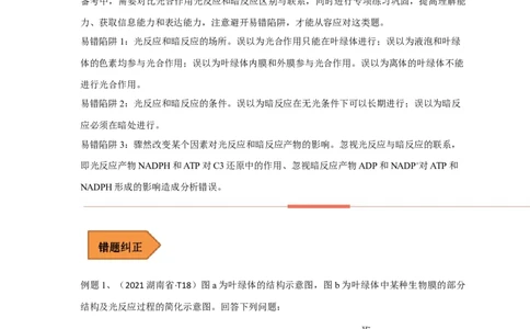 易错点07关于光合作用光反应和暗反应关系分析-备战2023年高考生物考试易错题（全国通用）（解析版）_通用版（老高考）复习资料_2023年复习资料_专项复习
