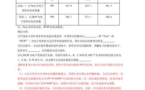 易错点07关于光合作用光反应和暗反应关系分析-备战2023年高考生物考试易错题（全国通用）（解析版）_通用版（老高考）复习资料_2023年复习资料_专项复习