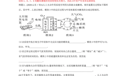 易错点07关于光合作用光反应和暗反应关系分析-备战2023年高考生物考试易错题（全国通用）（解析版）_通用版（老高考）复习资料_2023年复习资料_专项复习